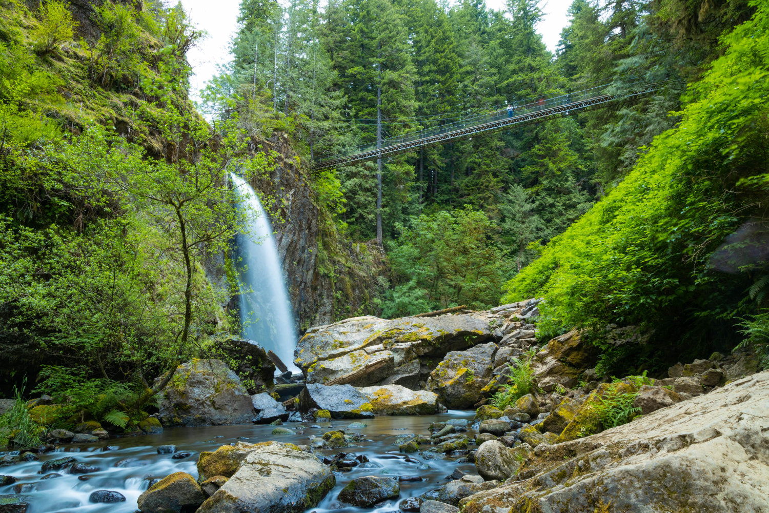 Drift Creek Falls